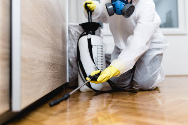 Best Pest Control for Restaurants  in Venersborg, WA