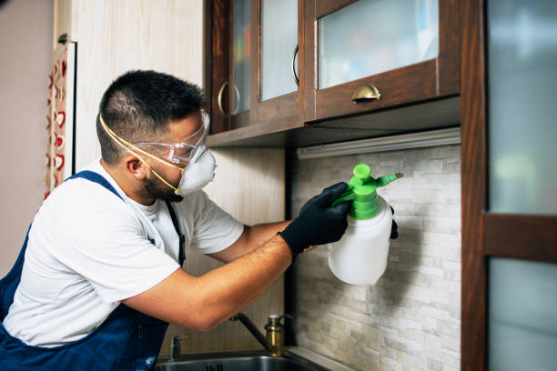 Trusted Venersborg, WA Pest Control Experts