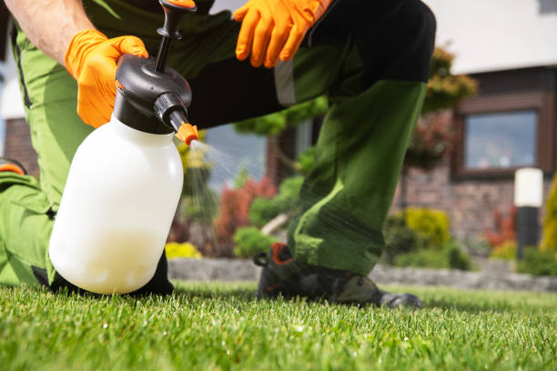 Pest Prevention Services in Venersborg, WA