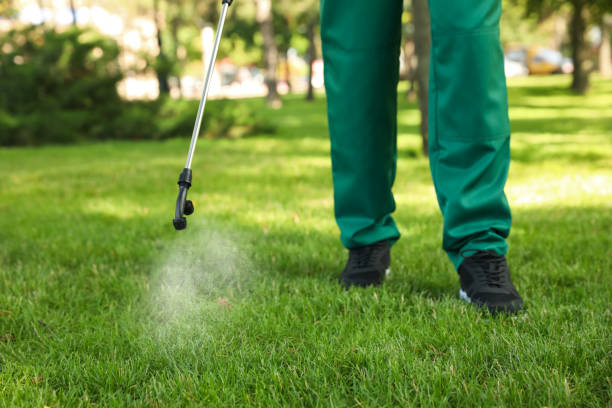 Best Mosquito Control Services  in Venersborg, WA